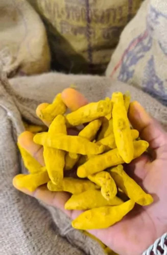 Turmeric Finger