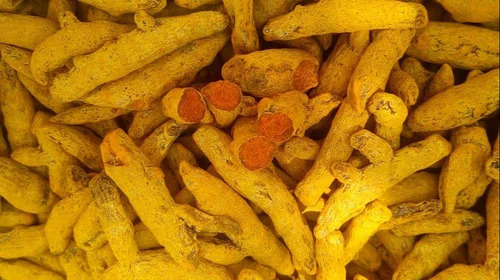 Turmeric Finger Salem Haldi