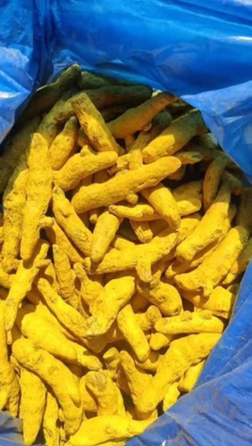 Yellow Loose Turmeric Finger