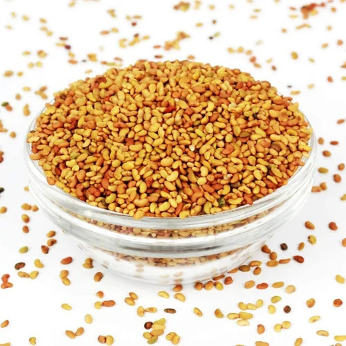 Alfalfa Seeds