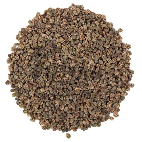 Celery Seeds