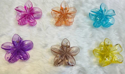 Fashion Hair Clips