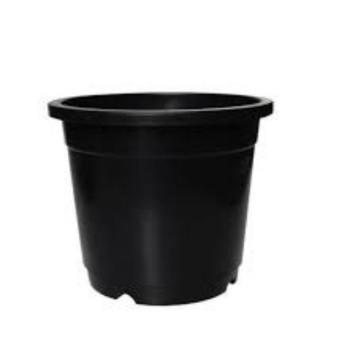 Pp Dana Nursery Pot