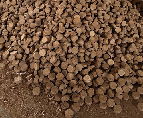 Cocopeat Disc