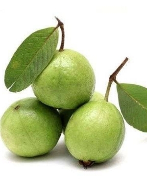 Fresh Guava - Cultivation Type: Common