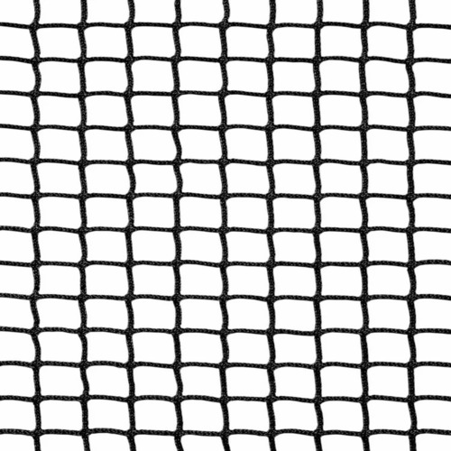 Black Safety Net