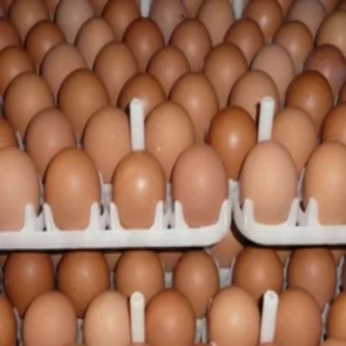 Country Brown Eggs