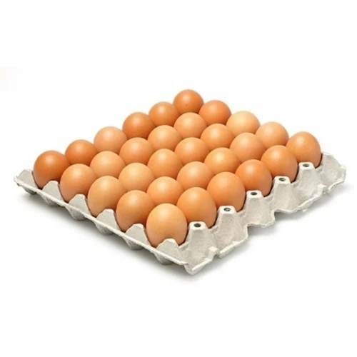 Duck Hatching Eggs