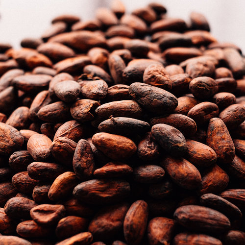 Premium Cocoa Beans Sorted - Fat Content (%): 50 Percentage ( % )