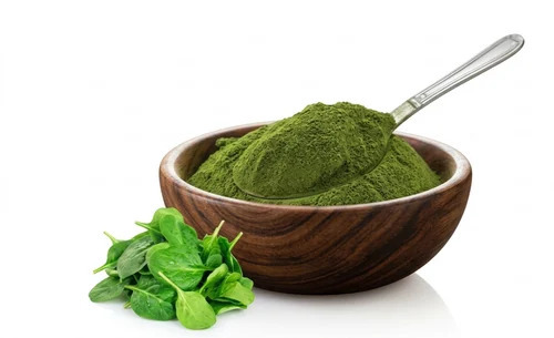 Spinach Leaves Powder