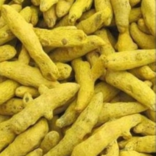 Yellow Turmeric Finger