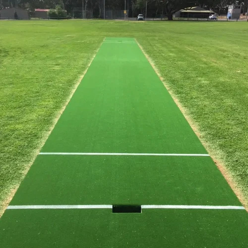 Artificial Cricket Pitch Services