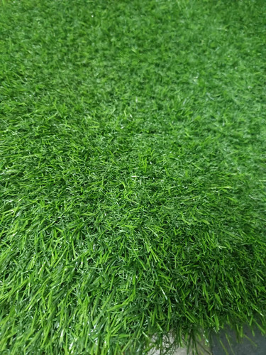 Multi Sport Grass