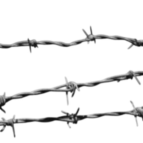 Ss Barbed Wire