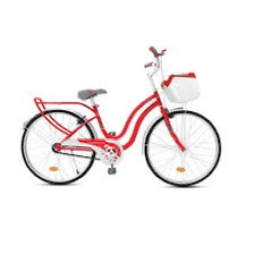 Strong Frame Bicycle
