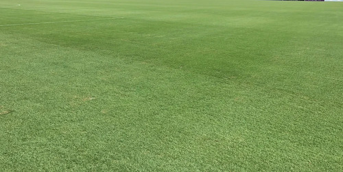 Synthetic 15mm Multi Sports Grass Court