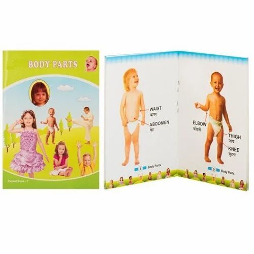 Body Parts Children School Books
