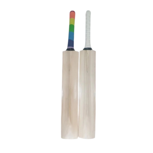 Himachal Willow Cricket Bat