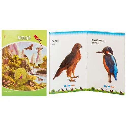 Kids Birds Book