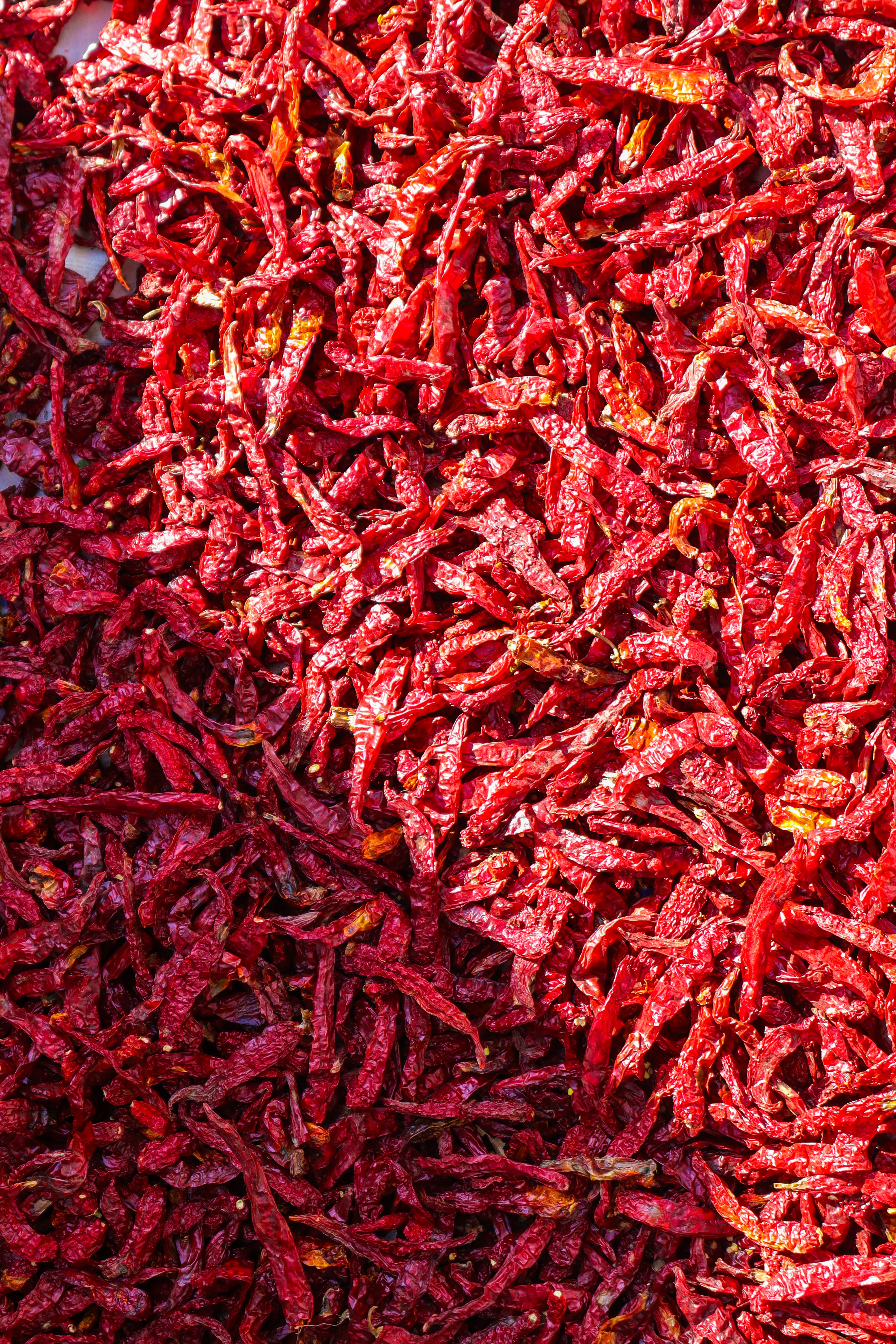 Teja S17 Whole Dry Red Chilli - Color: 40 - 60 Asta
