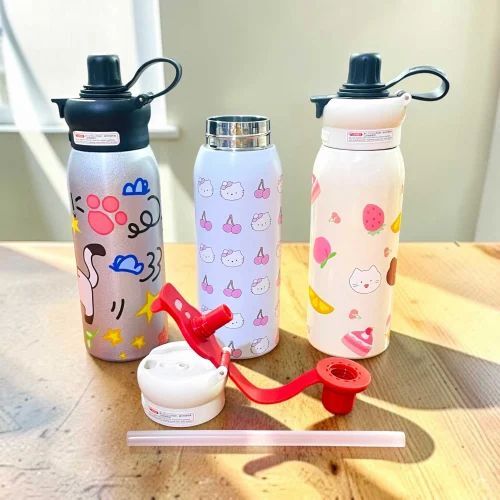 650ml Insulated Sus 304 Water Bottle