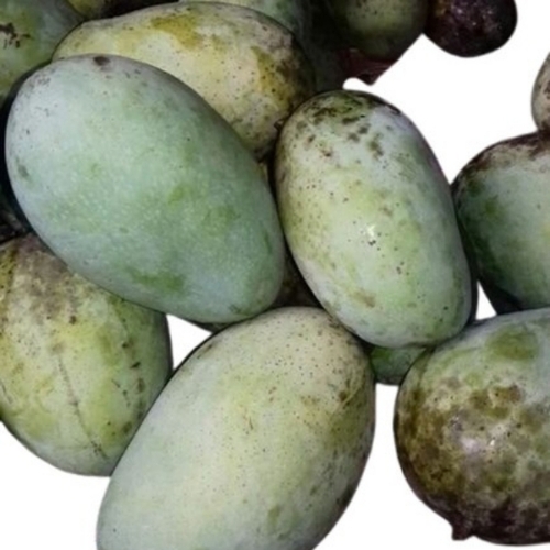 Fazli Mango - Color: Green