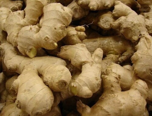 A Grade Green Ginger