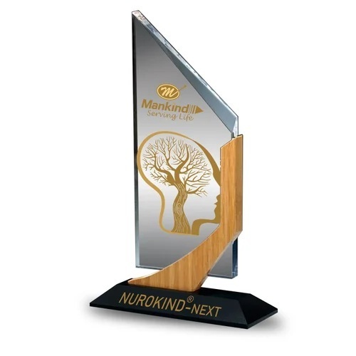 Acrylic Trophies Customised
