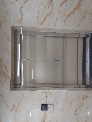Automatic Closing Elevator Door - Load Capacity: 40 Kg