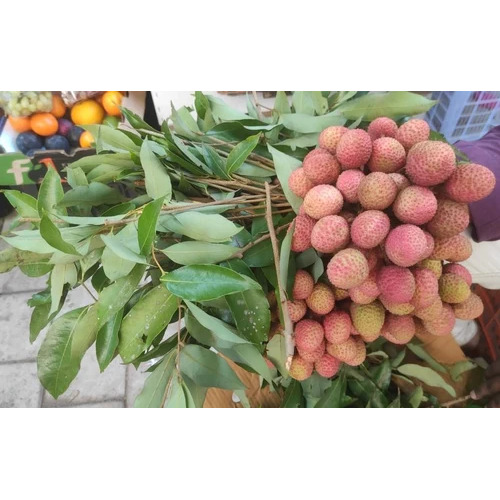 Muzaffarpur Litchi Fresh Fruit