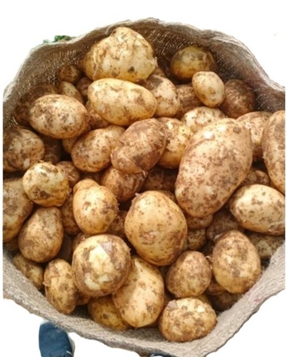 Natural Fresh Potato