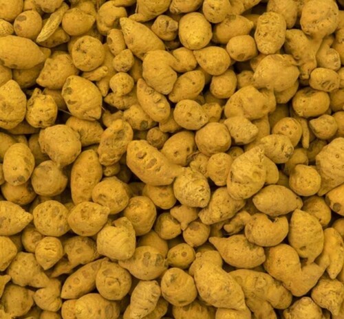 Polished Turmeric Bulb