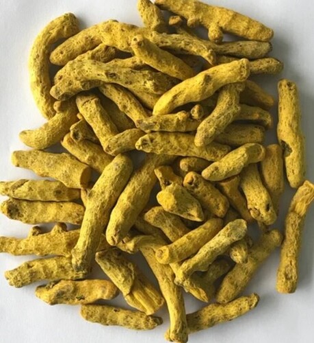 Polished Turmeric Finger