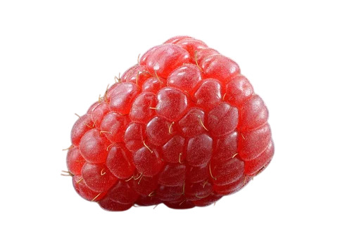 Raspberry Fresh Fruit
