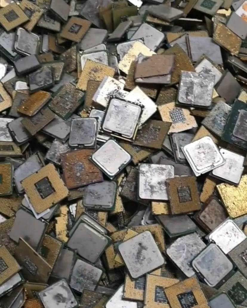 Neatly Selected Intel Ceramic Cpu Gold Processor Scrap - Finish: Clean Cut