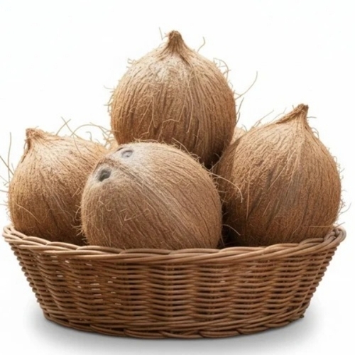 Raw Coconut By Venkateswara Coconuts Traders