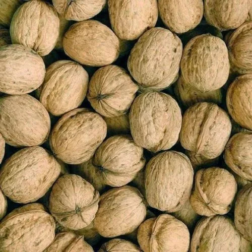 Chilean Inshell Walnuts