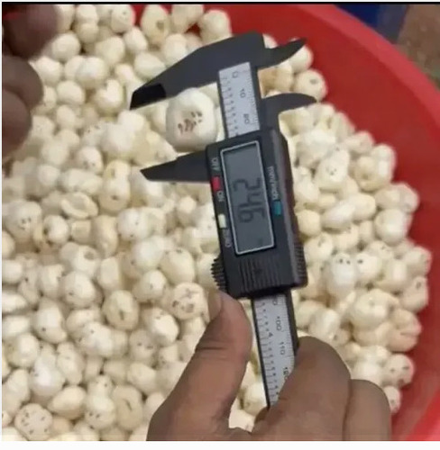 Popped Lotus Seeds