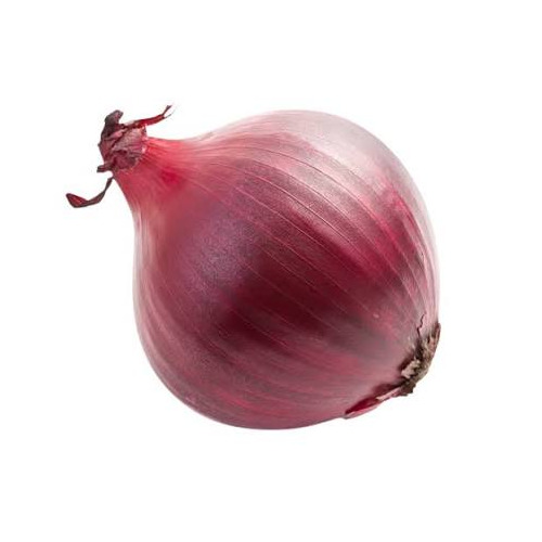 Red Onion By Mellonion Trading & Company