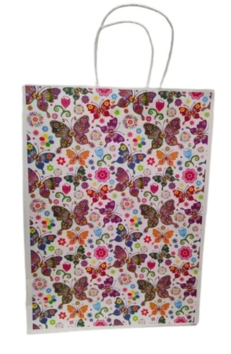 3 Kg Printed Kraft Paper Bag