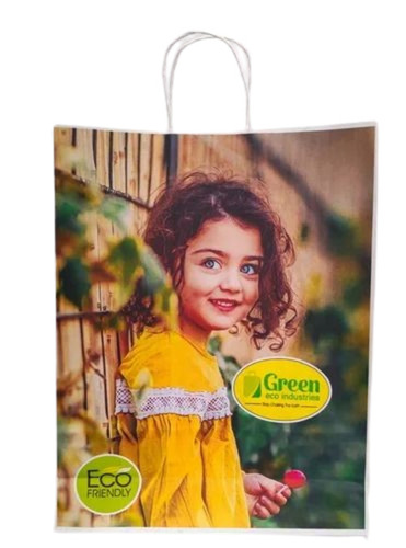 6kg Printed Kraft Paper Bags