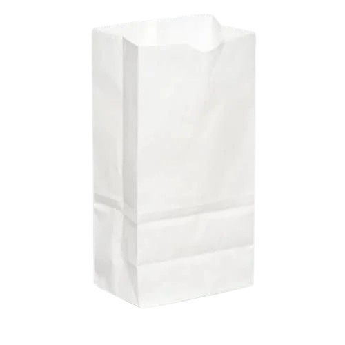 White Kraft Paper Bag