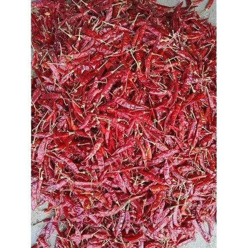 273 Wrinkle Dry Red Chilli