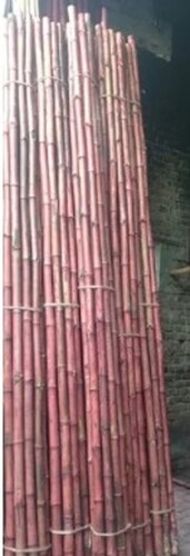 Bamboo Bali