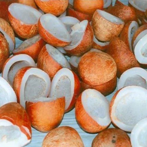 Copra Dried Coconut