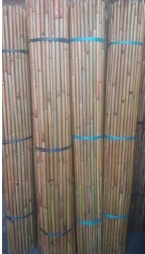 Finished Bamboo