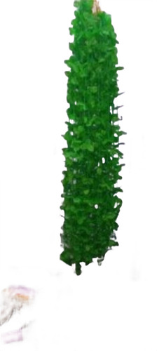 Flower Ladi For Decor