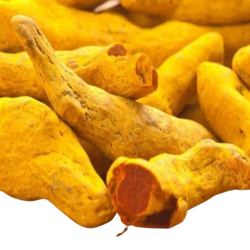 Organic Turmeric Finger