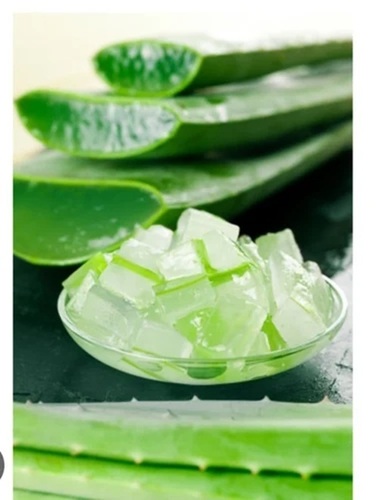 Aloe Vera Cubes