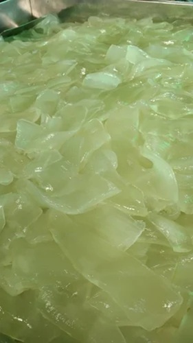 Fresh Aloe Vera Pulp